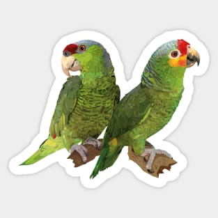 Amazon Sticker